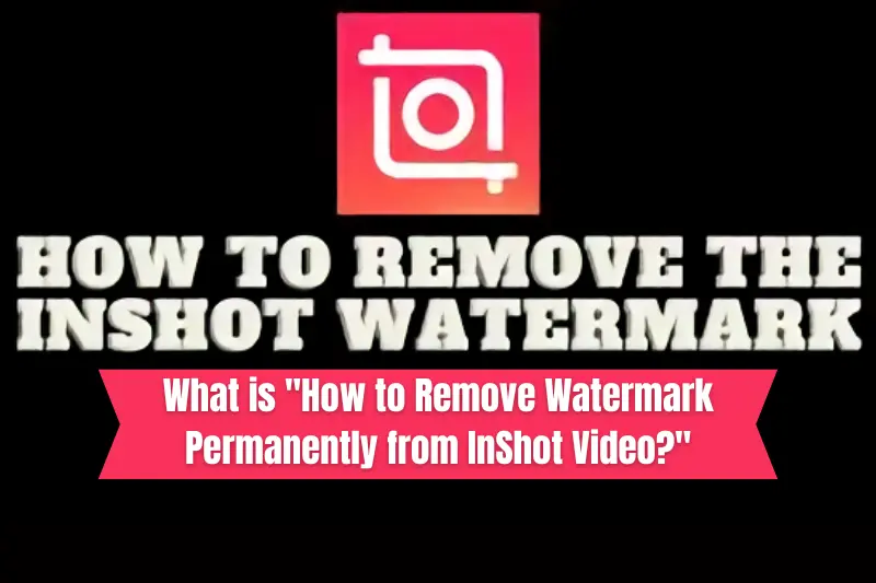 what is how to remove watermark permanently from inshot video